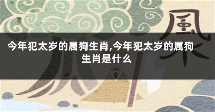 今年犯太岁的属狗生肖,今年犯太岁的属狗生肖是什么