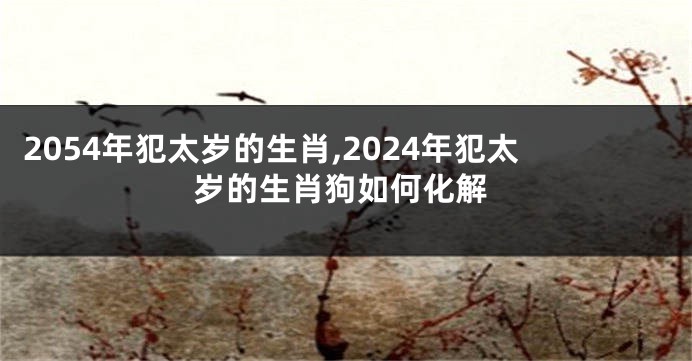 2054年犯太岁的生肖,2024年犯太岁的生肖狗如何化解