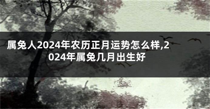 属兔人2024年农历正月运势怎么样,2024年属兔几月出生好