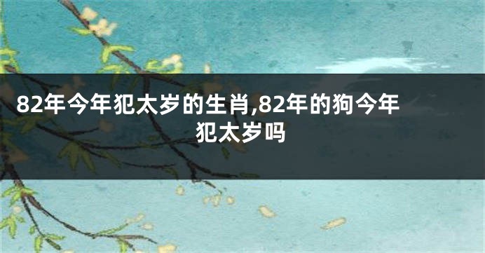 82年今年犯太岁的生肖,82年的狗今年犯太岁吗