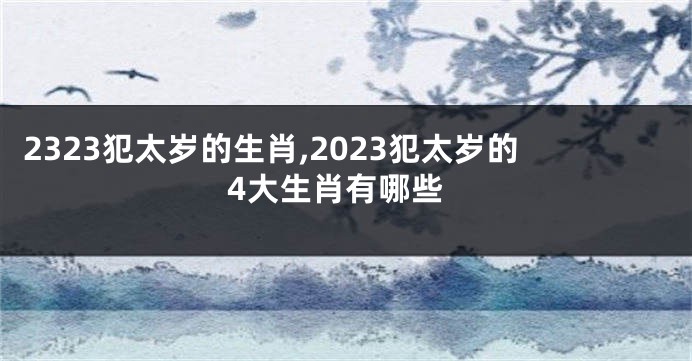 2323犯太岁的生肖,2023犯太岁的4大生肖有哪些