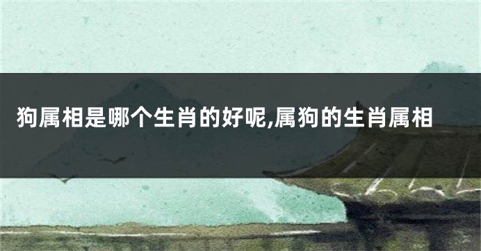 狗属相是哪个生肖的好呢,属狗的生肖属相