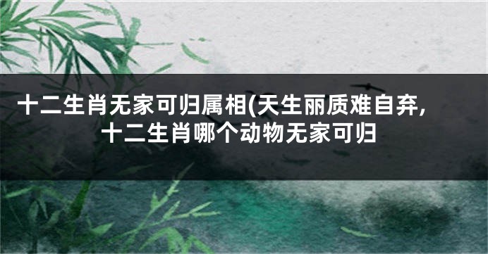 十二生肖无家可归属相(天生丽质难自弃,十二生肖哪个动物无家可归