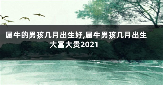 属牛的男孩几月出生好,属牛男孩几月出生大富大贵2021