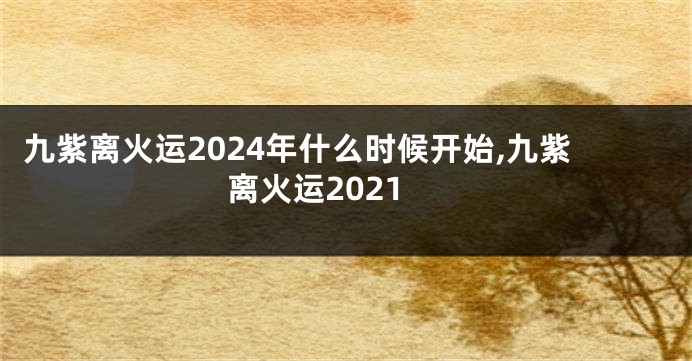 九紫离火运2024年什么时候开始,九紫离火运2021