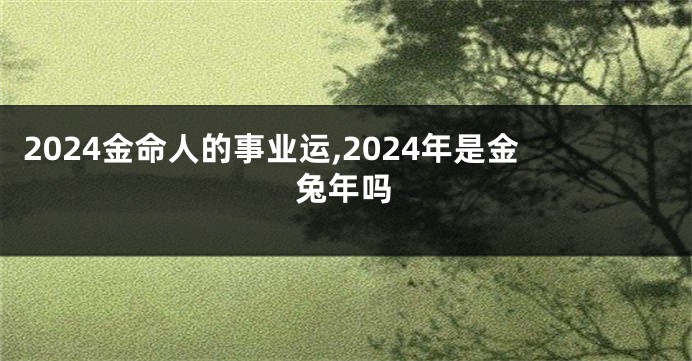 2024金命人的事业运,2024年是金兔年吗