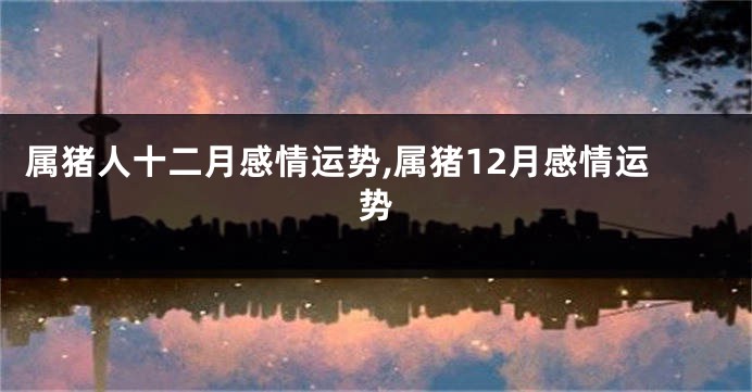 属猪人十二月感情运势,属猪12月感情运势