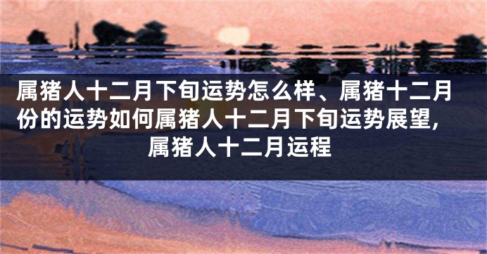 属猪人十二月下旬运势怎么样、属猪十二月份的运势如何属猪人十二月下旬运势展望,属猪人十二月运程