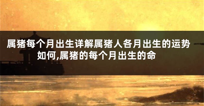 属猪每个月出生详解属猪人各月出生的运势如何,属猪的每个月出生的命