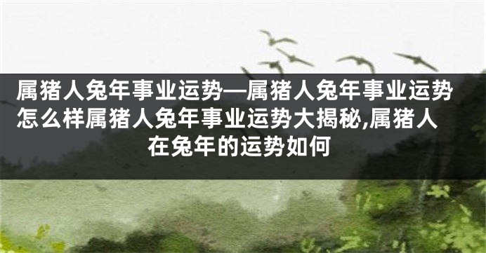 属猪人兔年事业运势—属猪人兔年事业运势怎么样属猪人兔年事业运势大揭秘,属猪人在兔年的运势如何