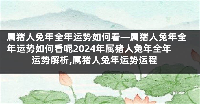 属猪人兔年全年运势如何看—属猪人兔年全年运势如何看呢2024年属猪人兔年全年运势解析,属猪人兔年运势运程