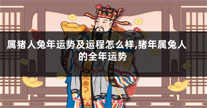 属猪人兔年运势及运程怎么样,猪年属兔人的全年运势