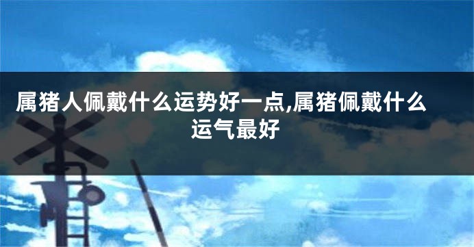 属猪人佩戴什么运势好一点,属猪佩戴什么运气最好