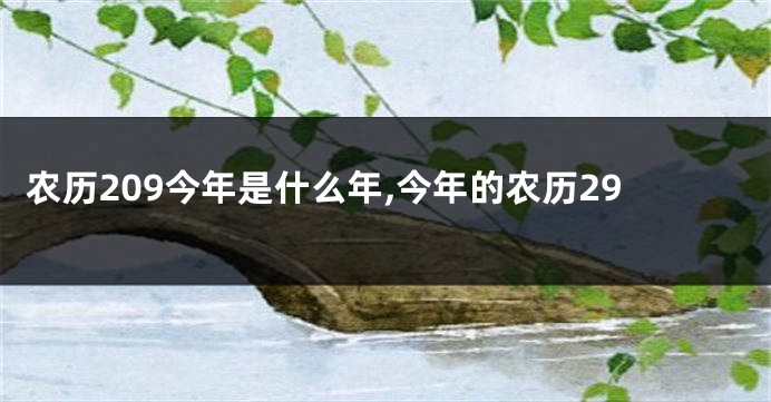 农历209今年是什么年,今年的农历29