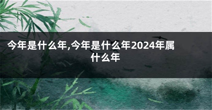 今年是什么年,今年是什么年2024年属什么年