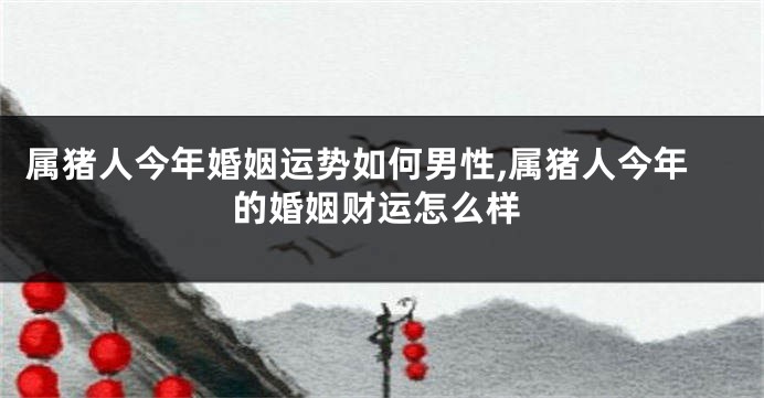 属猪人今年婚姻运势如何男性,属猪人今年的婚姻财运怎么样