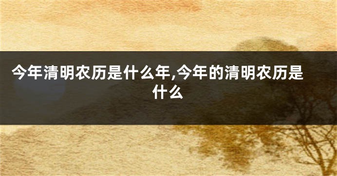 今年清明农历是什么年,今年的清明农历是什么