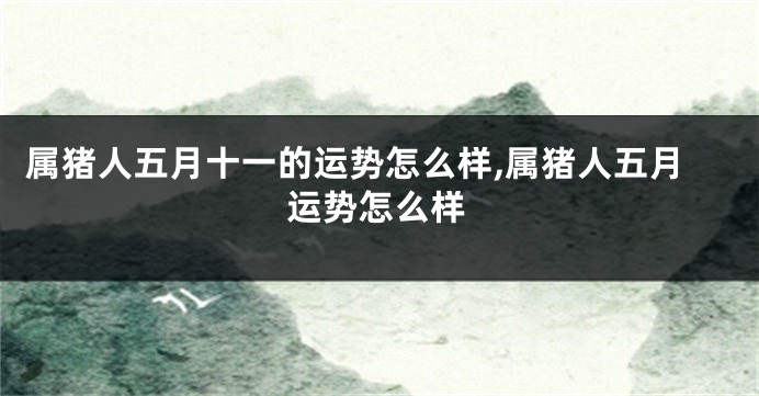 属猪人五月十一的运势怎么样,属猪人五月运势怎么样