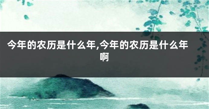 今年的农历是什么年,今年的农历是什么年啊