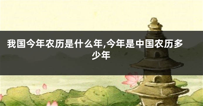 我国今年农历是什么年,今年是中国农历多少年