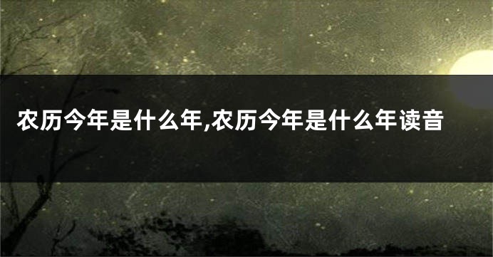 农历今年是什么年,农历今年是什么年读音