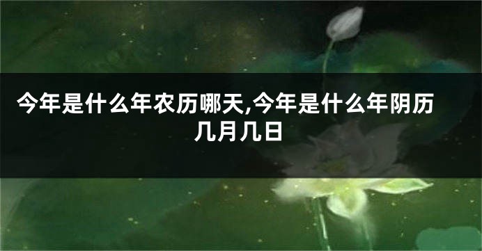 今年是什么年农历哪天,今年是什么年阴历几月几日