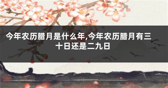 今年农历腊月是什么年,今年农历腊月有三十日还是二九日