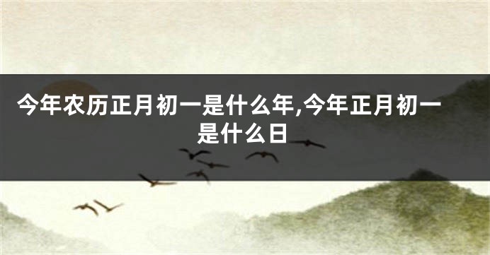 今年农历正月初一是什么年,今年正月初一是什么日