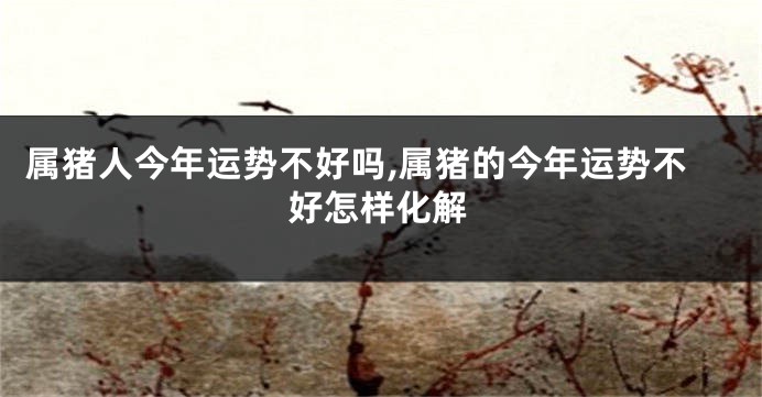 属猪人今年运势不好吗,属猪的今年运势不好怎样化解