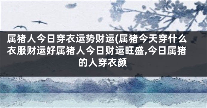 属猪人今日穿衣运势财运(属猪今天穿什么衣服财运好属猪人今日财运旺盛,今日属猪的人穿衣颜