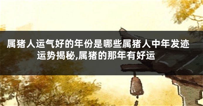 属猪人运气好的年份是哪些属猪人中年发迹运势揭秘,属猪的那年有好运