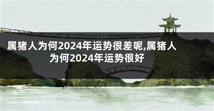 属猪人为何2024年运势很差呢,属猪人为何2024年运势很好