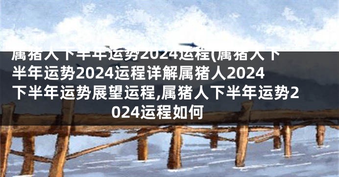 属猪人下半年运势2024运程(属猪人下半年运势2024运程详解属猪人2024下半年运势展望运程,属猪人下半年运势2024运程如何