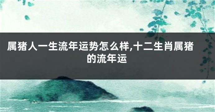 属猪人一生流年运势怎么样,十二生肖属猪的流年运