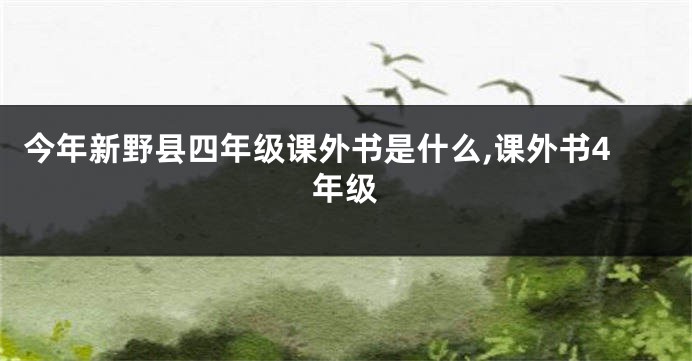 今年新野县四年级课外书是什么,课外书4年级