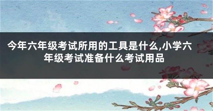 今年六年级考试所用的工具是什么,小学六年级考试准备什么考试用品