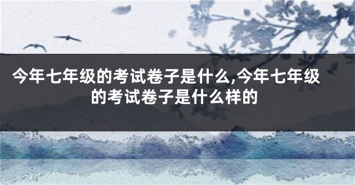 今年七年级的考试卷子是什么,今年七年级的考试卷子是什么样的