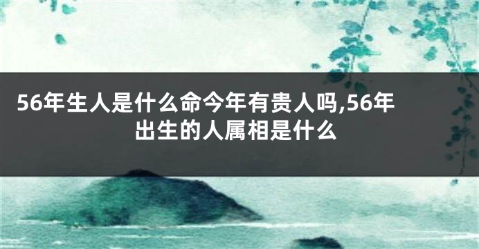 56年生人是什么命今年有贵人吗,56年出生的人属相是什么