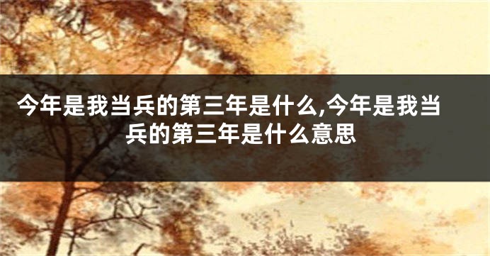 今年是我当兵的第三年是什么,今年是我当兵的第三年是什么意思