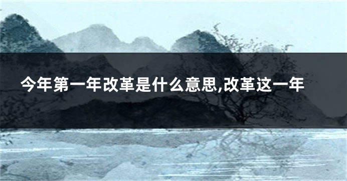 今年第一年改革是什么意思,改革这一年