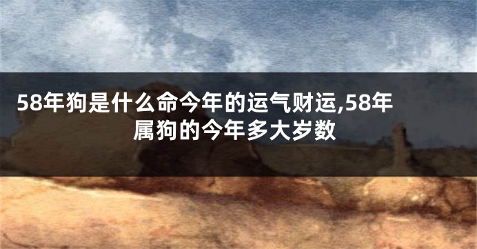 58年狗是什么命今年的运气财运,58年属狗的今年多大岁数