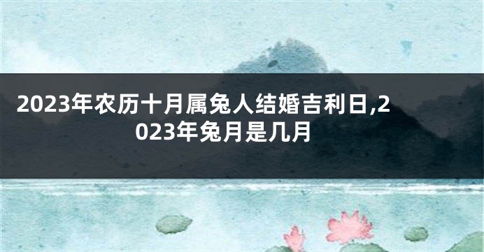 2023年农历十月属兔人结婚吉利日,2023年兔月是几月