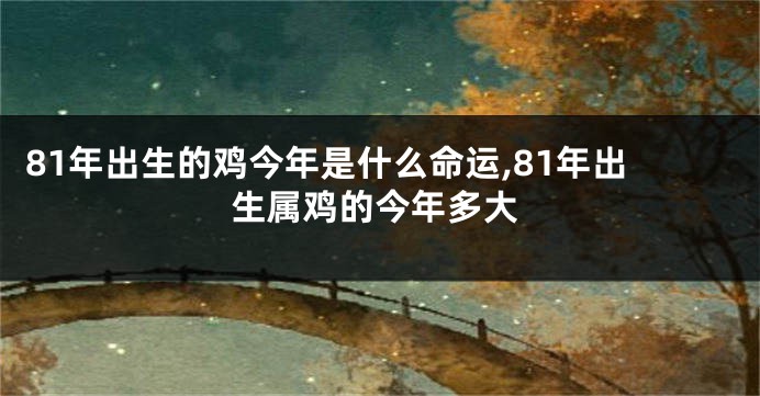 81年出生的鸡今年是什么命运,81年出生属鸡的今年多大