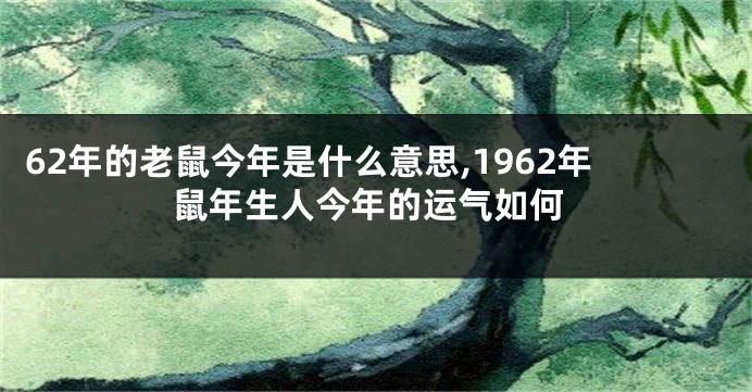 62年的老鼠今年是什么意思,1962年鼠年生人今年的运气如何