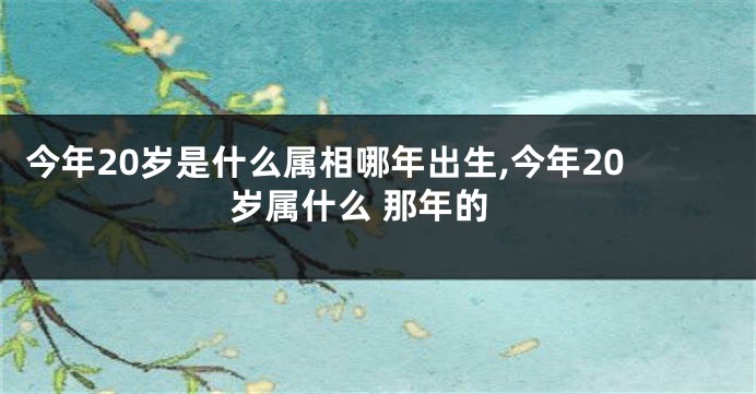 今年20岁是什么属相哪年出生,今年20岁属什么 那年的