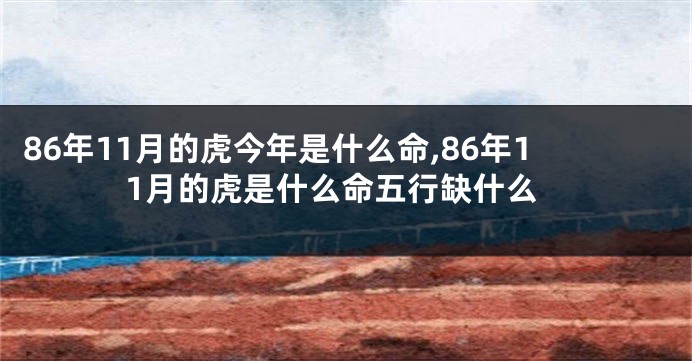 86年11月的虎今年是什么命,86年11月的虎是什么命五行缺什么