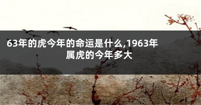 63年的虎今年的命运是什么,1963年属虎的今年多大