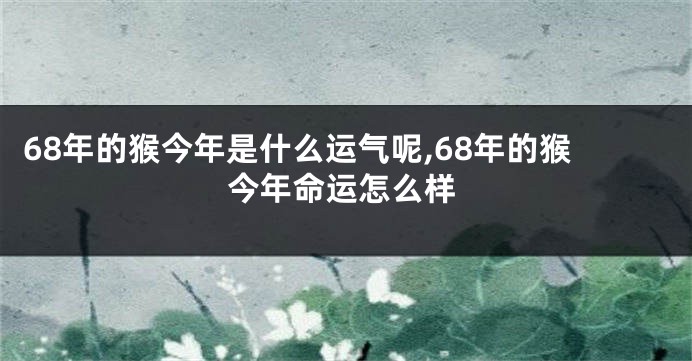 68年的猴今年是什么运气呢,68年的猴今年命运怎么样