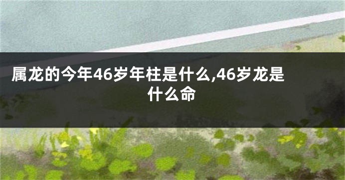 属龙的今年46岁年柱是什么,46岁龙是什么命