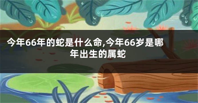 今年66年的蛇是什么命,今年66岁是哪年出生的属蛇